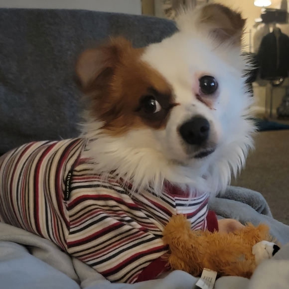 Meet your Posher, H - Picture 2 of 3